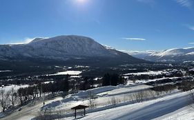Koselig leilighet med terrasse